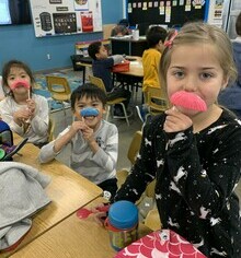 Mrs. Cej's Grade 1 class
